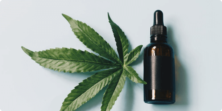 Best Brands of CBD Tinctures: Reviews of Manufacturers and Purchase Guide